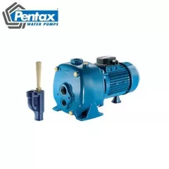 Pentax AP200-4/00 Pompa apa cu aspiratie de la mare adancime