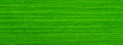 AquaLasur+ - Lazură universală acrilică pentru lemn la exterior, 0.75 l verde