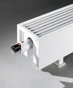 Calorifere Mini Freestanding 80x2000x130 mm, 850 W