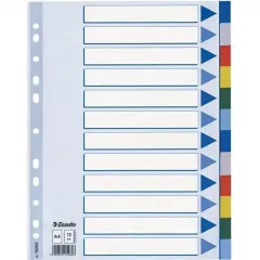 Index A4 Esselte, Plastic, cu 12 Separatoare Colorate