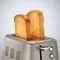 Prajitor paine MORPHY RICHARDS Evoke 2 Slice Toaster Platinum 224403, 2 felii, 900W, Auriu