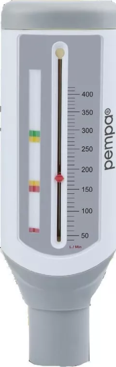 Termometru PEMPA, Debitmetru de varf pentru copii PF100C