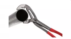 Cleste papagal ROGRIP XL, max 3 1/2"