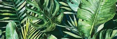 Decor pentru faianta, Braga Tropic C Inserto, dimensiuni 25 x 75 cm