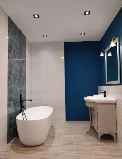 Faianta baie / bucatarie Tampa 1 White 30X60