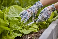 Echipament protectie - Manusi de protectie, Miss Flower 709814, numarul 7, olint.ro