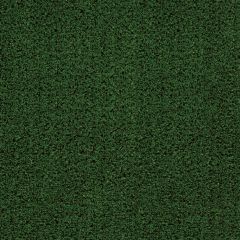 Mocheta gazon Greenland, latime 4 m, verde