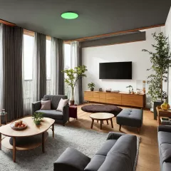 Plafoniera LED, smart, dimabila, rotunda, Nebula, putere 24 W, culoare neagra, Klausen KL151083