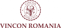 VINCON VINCON