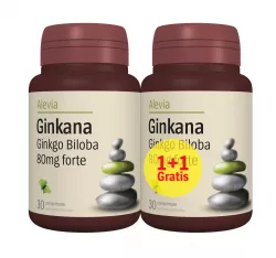 ALEVIA GINKANA GINKGO BILOBA 80MG 30+30CP