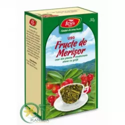 CEAI MERISOR X 20 PLICURI