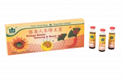 CO GINKGO BILOBA GINSENG X10 FIOLE