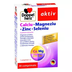 DOPPELHERZ AKTIV CA+MG+ZN+SE X 30CP