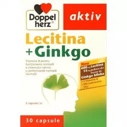 DOPPELHERZ AKTIV LECITINA+GINKGO 30CAPS