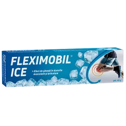 FITERMAN FLEXIMOBIL ICE GEL 45G