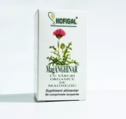 HOFIGAL MAGANGHINAR 60CP