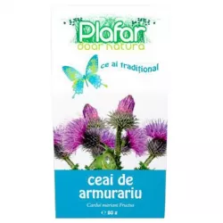 PLAFAR CEAI ARMURARIU FRUCTE 80 G