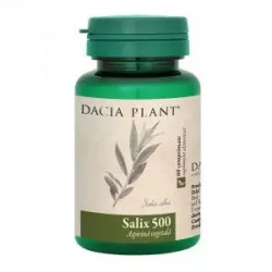 SALIX 500 X60CPR