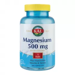 SECOM MAGNESIUM 500MG 60CAPS