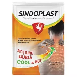 SINDOPLAST PLASTURI 3BUC