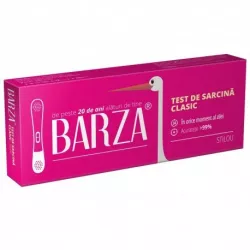 TEST SARCINA BARZA STILOU