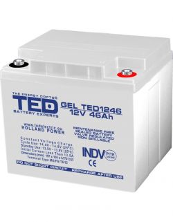 Acumulator 12V GEL Deep Cycle, Dimensiuni 197 x 166 x 171 mm, Baterie 12V 46Ah M6, TED Electric TED003454
