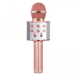 Microfon karaoke cu baterii