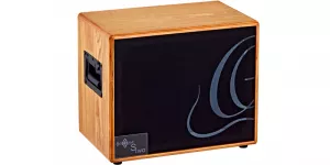 Ortega S TWO Cabinet Acoustic 150W