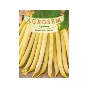 Seminte Fasole pitică  galbenă rotundă Sonesta TRATAT AGROSEM 50 g