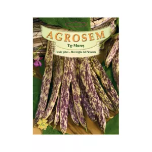 Seminte Fasole pitică  pastaie tărcată Meraviglia del Piemonte AGROSEM 50 g