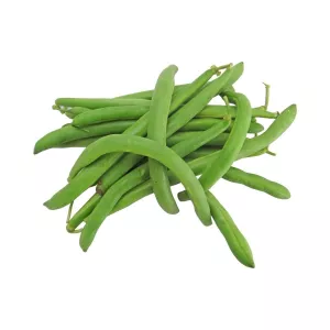 Seminte Fasole pitica verde PRELUDE Pop Vriend 100 g