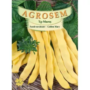 Seminte Fasole urcatoare galbenă lată Golden Mary AGROSEM 1 kg