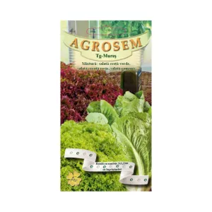 Seminţe pe bandă MIX: Salată  L.Bionda, L. Rossa, Romana AGROSEM 3 benzi