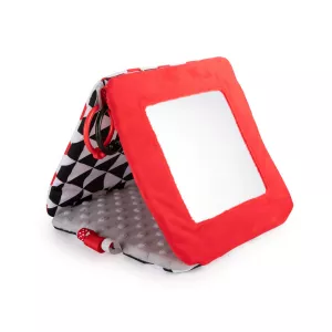 Carte educativa cu oglinda „Sensory Toys“, 68/079, 0 luni +, multicolor, Canpol