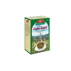 Ceai Talpa Gastii iarba, C42, 50 g, Fares