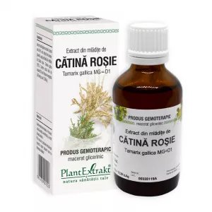 Extract din mladite de Catina Rosie, Tamarix, 50 ml, Plant Extrakt