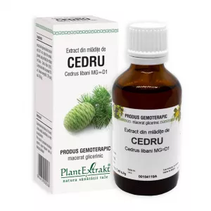 Extract din mladite de Cedru, 50 ml, Plant Extrakt