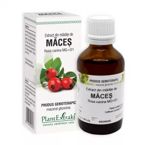 Extract din mladite de Maces, 50 ml, Plant Extract