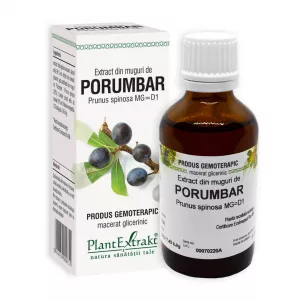 Extract din muguri de Porumbar, 50 ml, Plant Extrakt