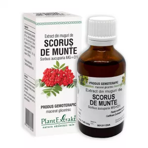 Extract din muguri de Scorus, 50 ml, Plant Extrakt