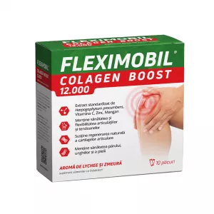 Fleximobil Colagen Boost 12000, 10 plicuri, Fiterman