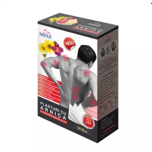 Plasturi cu arnica si gheara diavolului, 9 x 14 cm, 50 bucati, Minut