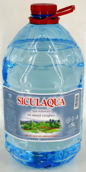 APA DE MASA NECARBOGAZOASA SICULAQUA 5L # 2 buc