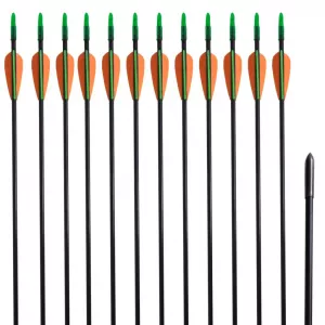 Săgeți pentru arc recurv 30", 0,6 cm, fibră de sticlă, 12 buc