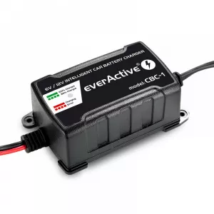 Incarcator Intelegent Pentru Acumulatori 6V sau 12V Putere Incarcare 1A sau 1.2A, EverActive CBC-1
