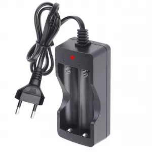 Incarcator Li-Ion 3.7V cu 2 Canale de Incarcare, Incarca cu 500mA, TED Electric TL-C001