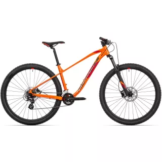Rock Machine BikeXpert.ro