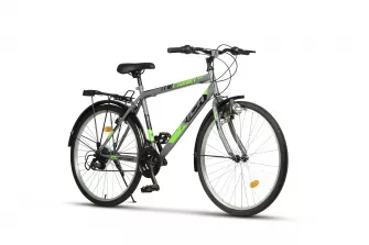 PROMO BICICLETE - Bicicleta City Rich Meridian R2635A 26", Gri/Verde, carpatsport.ro