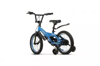 Bicicleta Copii 4-6 ani Carpat PRO C16119C 16",  Albastru/Alb