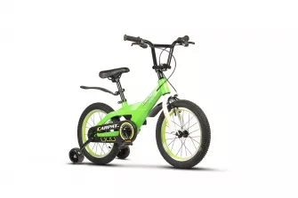 Bicicleta Copii 4-6 ani Carpat PRO C16119C 16",  Verde/Alb